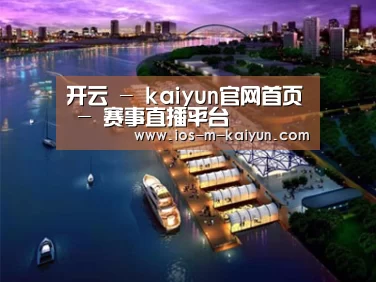 案例展示八
