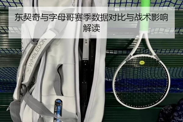 东契奇与字母哥赛季数据对比与战术影响解读